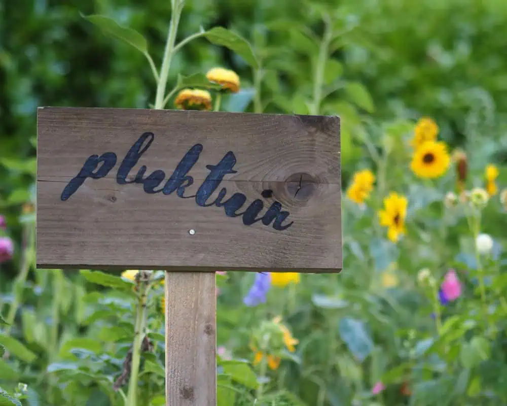 bordje met pluktuin in de tuin